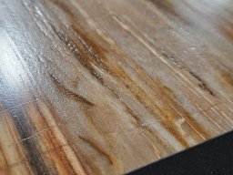 Brushed Petrified Wood Plank Flooring